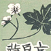 Senpan Maekawa Gallery